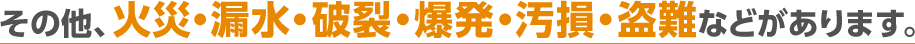 その他、火災・漏水・破裂・爆発・汚損・盗難などがあります。